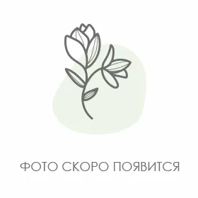 Видео превью