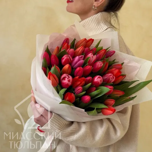 51 яркий тюльпан