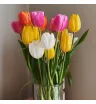 Разноцветные тюльпаны любое количество 
