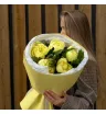 Солнечные пионы