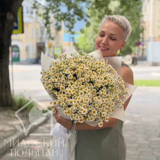 Ромашковое лето