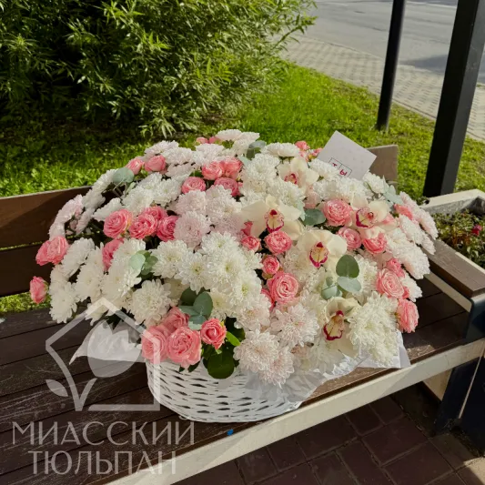 Небесное солнце