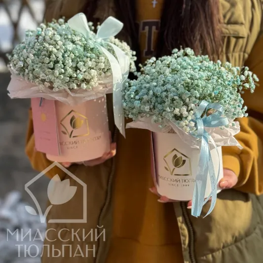 Милые коробочки с гипсофилой