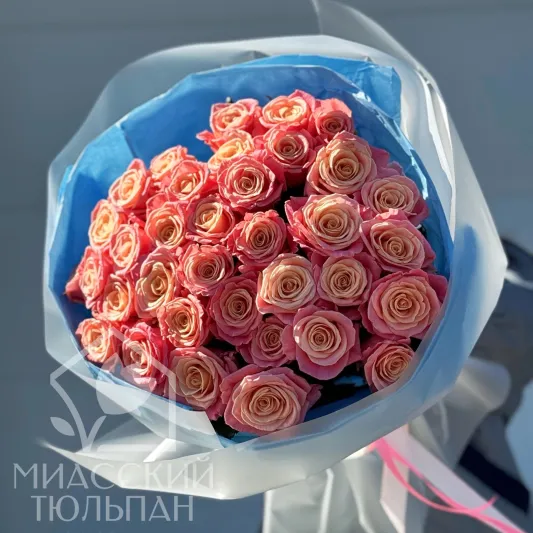 35 роз Miss Piggy