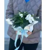 Бальзамин горшечный