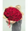 75 роз премиум