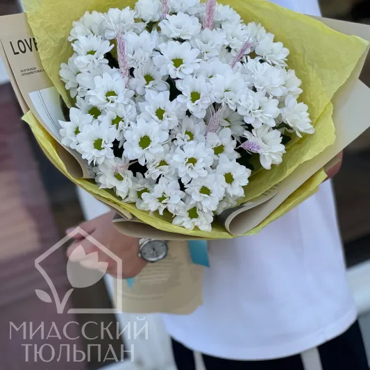 Букет из ромашек ДЛЯ НЕЁ