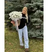 Ромашки в кашпо