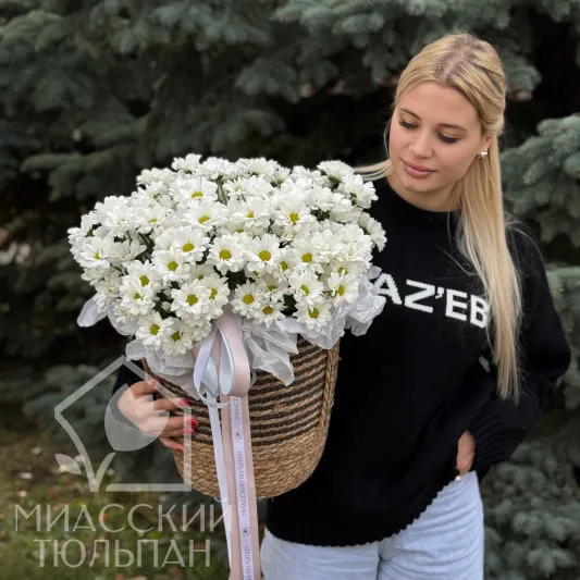 Ромашки в кашпо