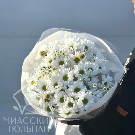 Букет из  ромашек и хамелациума