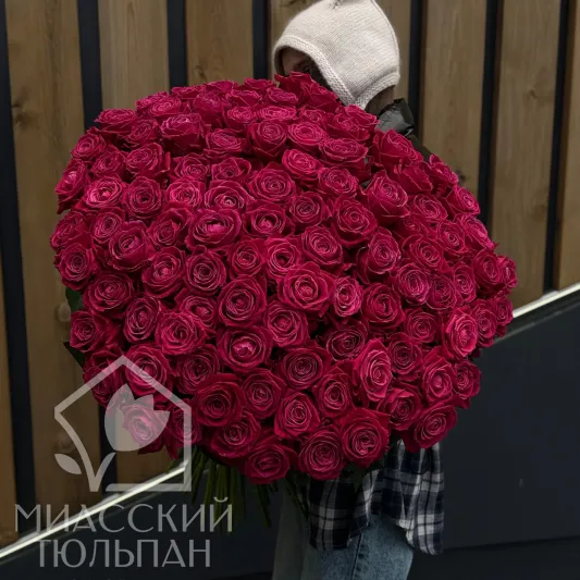101 малиновая роза