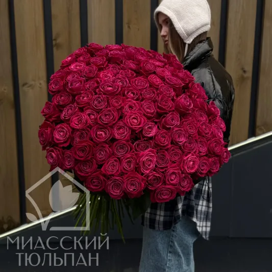 101 малиновая роза