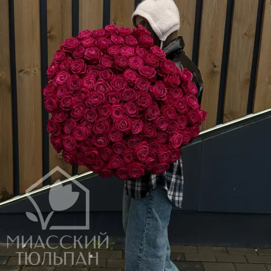 101 малиновая роза