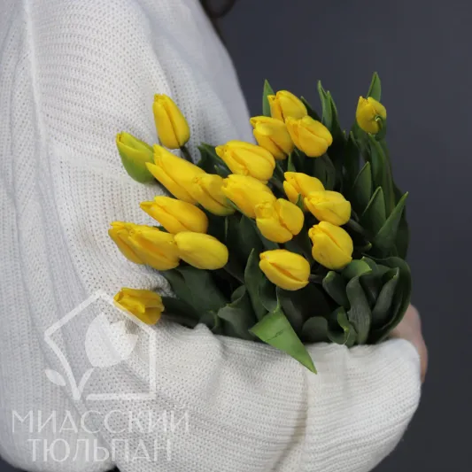Монобукет желтых тюльпанов