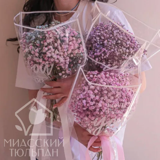 Моно из гипсофилы 