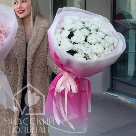 XXL букет голландских хризантем