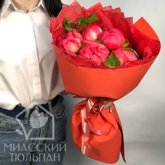 Пионы Coral