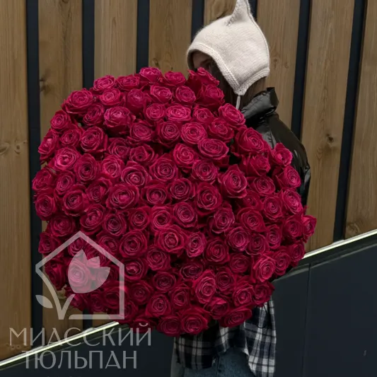 101 высокая малиновая роза