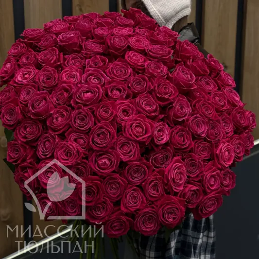 101 высокая малиновая роза
