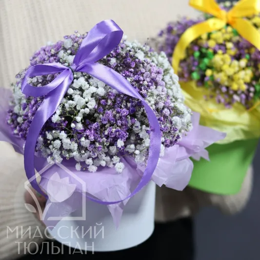 Композиция из гипсофилы