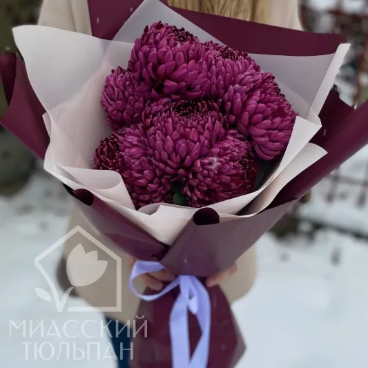 Букет из 7 хризантем