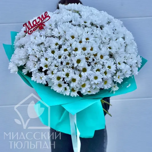 WOW Букет из белой хризантемы