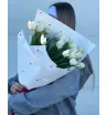 Букет из 25 тюльпанов