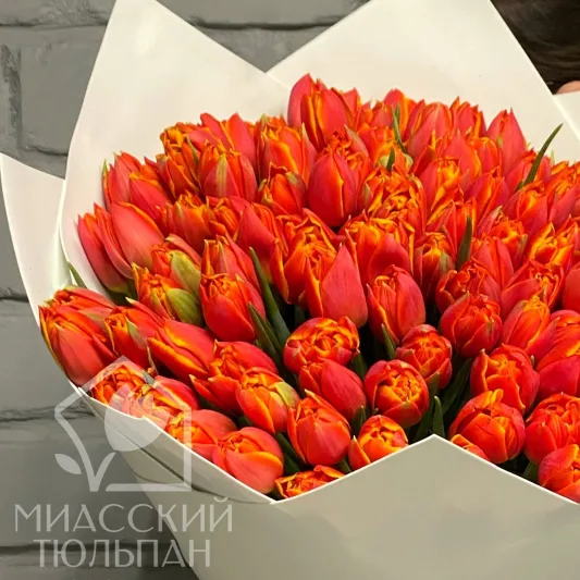 Букет из 119 тюльпанов